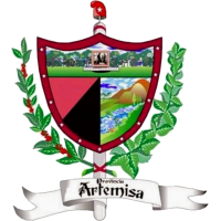 Artemisa FC